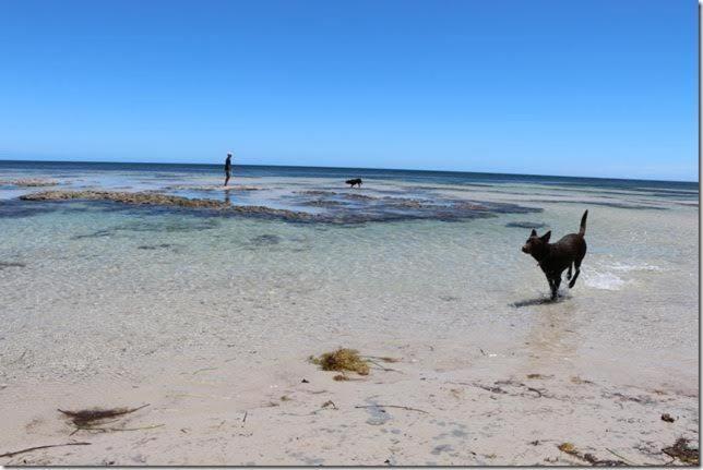 Beachside Holiday Park Normanville Exterior foto